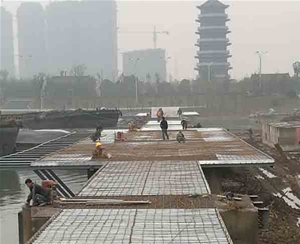 鋼結(jié)構(gòu)景觀(guān)橋（5）